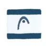 HEAD 2.5" Striped Tennis Wristband - Teal / White