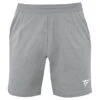 Tecnifibre Mens Team Tennis Short - Silver